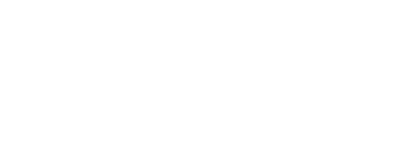 Vectiqon Solutions